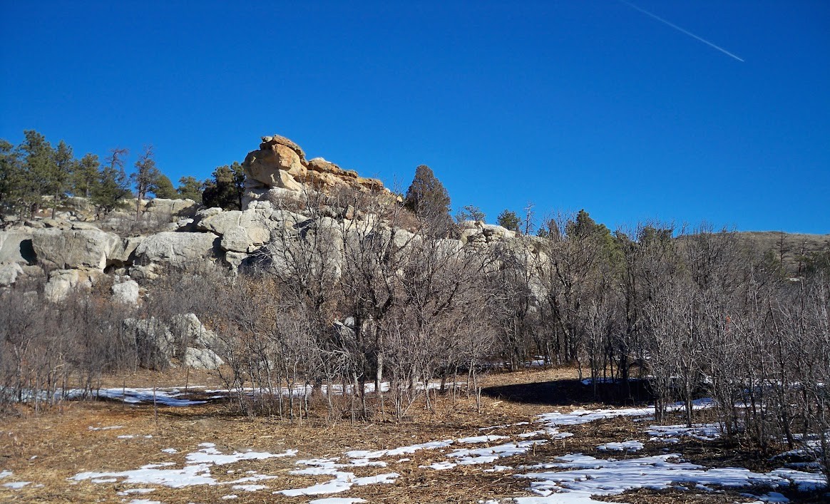 After: Wildfire mitigation work completed in Ute Valley Park, Colorado Springs. Previously continuous ladder fuels were strategically reduced into smaller, discontinuous islands, interrupting vertical and horizontal fuel continuity. This treatment lowers wildfire intensity and spread potential while supporting improved forest structure and long-term ecosystem health.